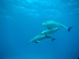 Pousada em Fernando de Noronha